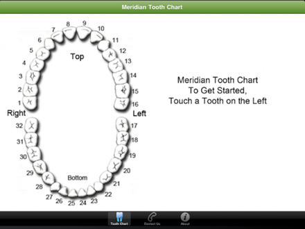 Tooth Meridian Chart Breast Cancer